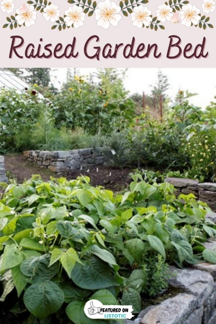 When to plant vegetables garden ideas.