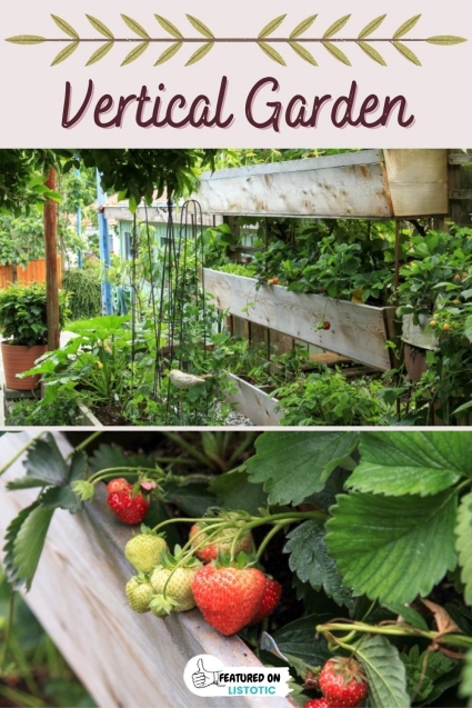 When to plant vegetables garden ideas.