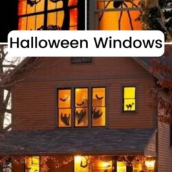 Halloween windows.