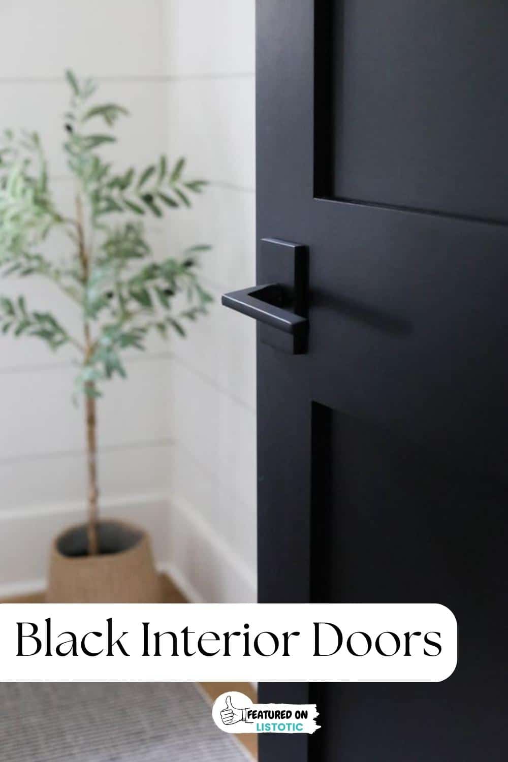 black shaker style interior room door 