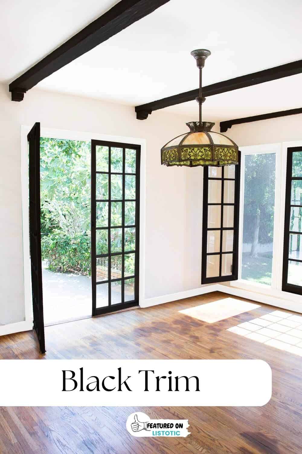 black trim doors and windows
