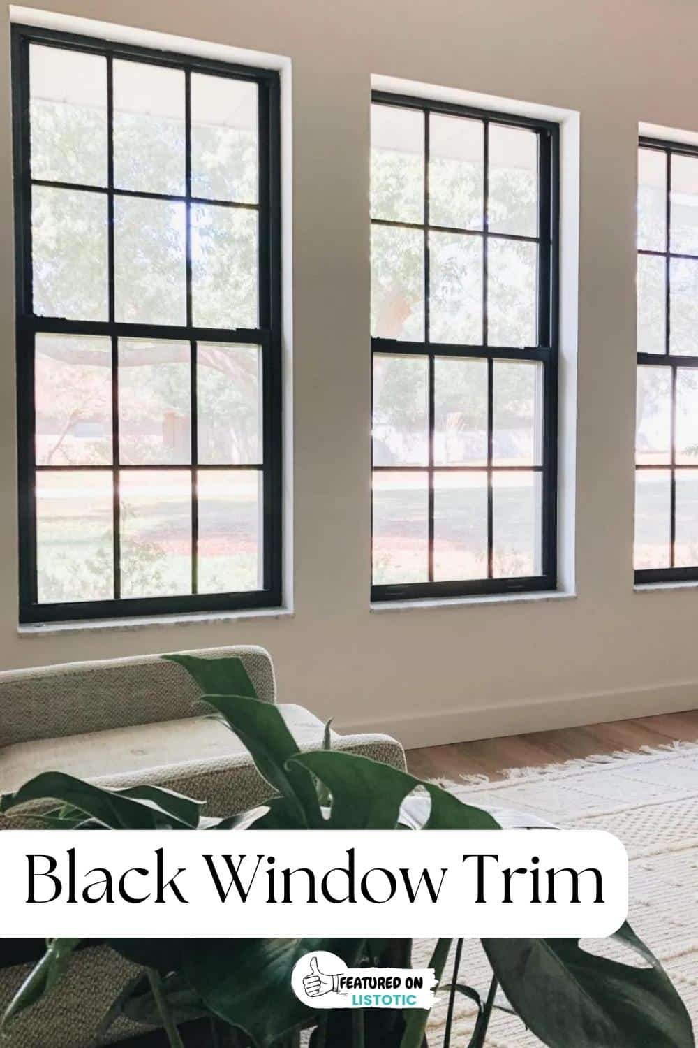 painted black trim windows