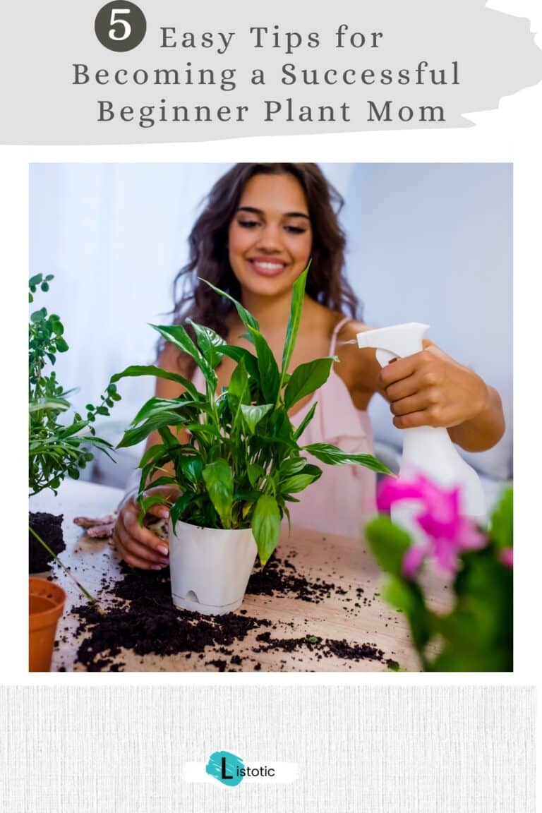 5 Easy Tips for Becoming a Successful Beginner Plant Mom ⋆ Listotic