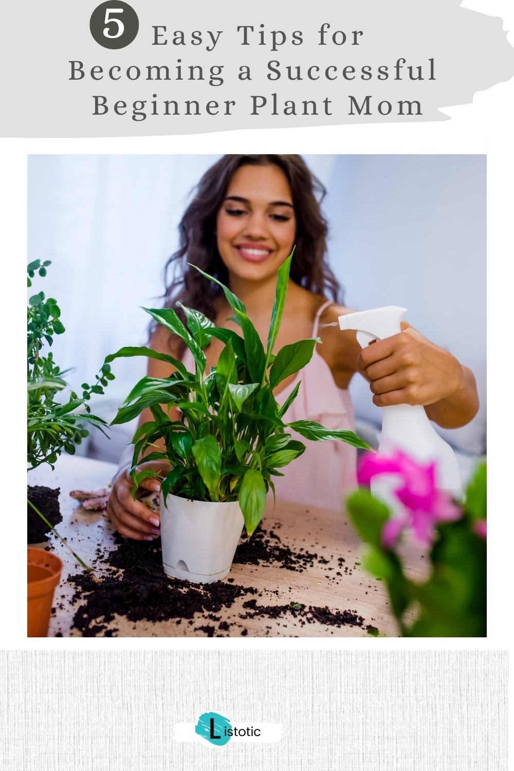 beginner plant mom tips and tricks