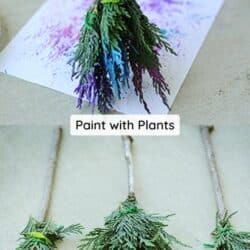 Paint with plants.
