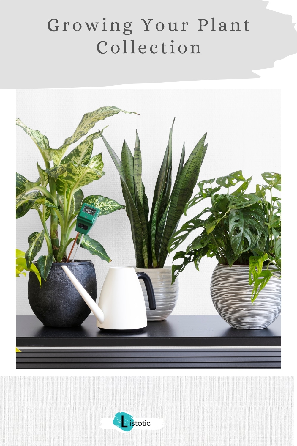 https://listotic.com/wp-content/uploads/2023/05/growing-your-indoor-plant-collection.jpg