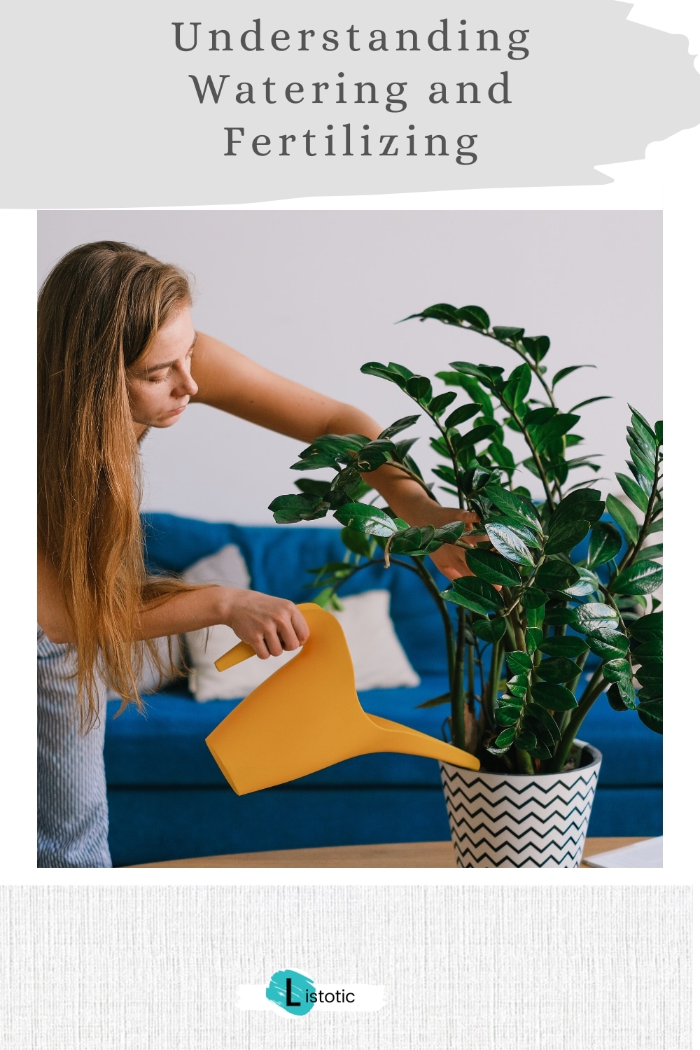 tips and tricks for beginner plant mom