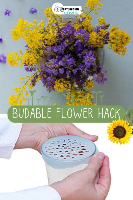 7 Flower Hacks: Arranging Flowers at Home like a Pro 