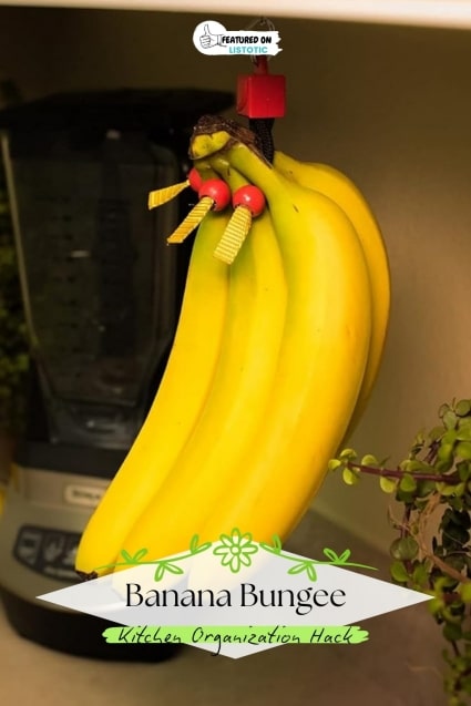 Banana Bungee.