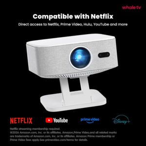 outdoor movie projector